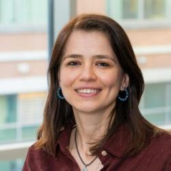 Meryem Yilmaz Soylu image